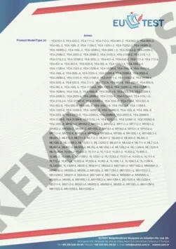 KEMATROS-AC-Motors-CE-Certificate-2