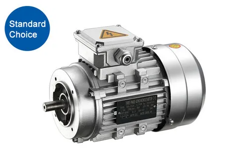 IE3 AC Motor