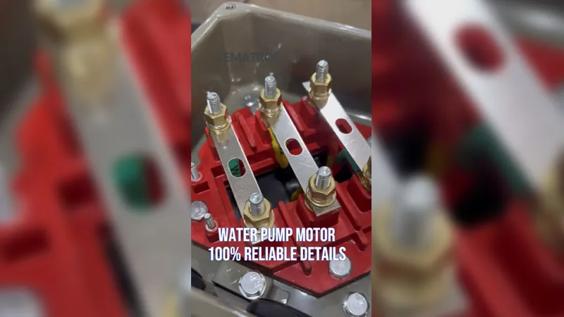 Detalles de Nuestro Motor De Bomba De Agua