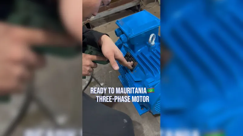 ¡Motores eléctricos para trabajo pesado listos para Mauritania!