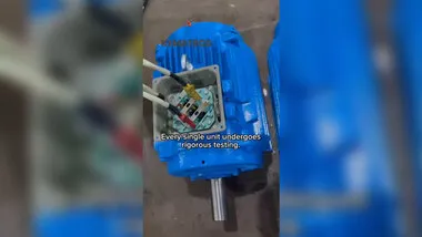 Vea Cómo Revisamos Nuestros Motores Antes Del Envío